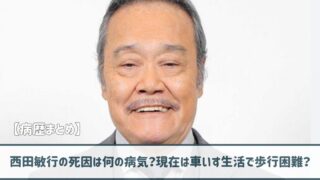 西田敏行の死因は何の病気？現在は車いす生活で歩行困難？病歴まとめ！